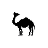 Profile picture of Sara Khalid