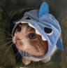 Profile picture of Eclipse