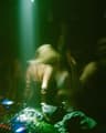 Profile picture of MH.Shifting