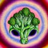 Profile picture of Sagi Gafni & Shaked Aiach